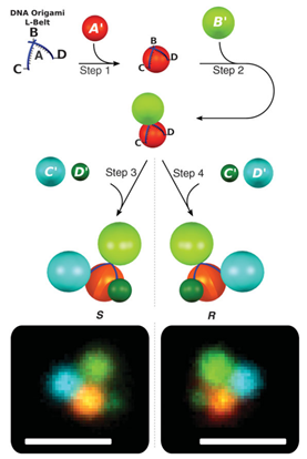 self-assembled-three-dimensional-chiral-colloidal-architecture.png