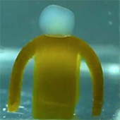Soft aquatic robot