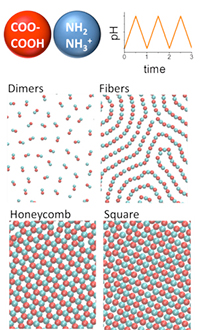 dissipative-self-assembly-of-particles-interacting-through-time-oscillatory-potentials.jpg