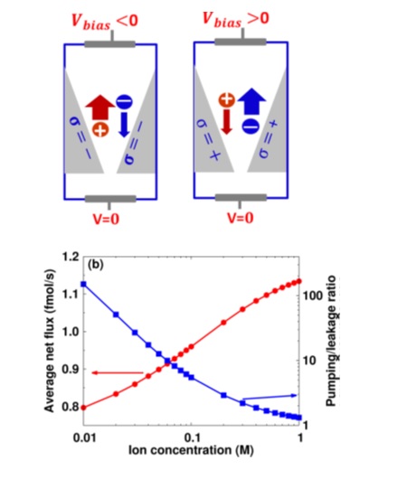 electrically-driven-pumps-based-on-conical-pores-have-high-rectification-could-be-of-interest-for-pumping-salt.jpg