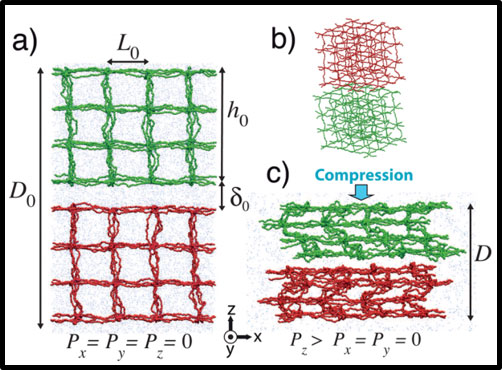 energy-conversion-in-polyelectrolyte-hydrogels.jpg