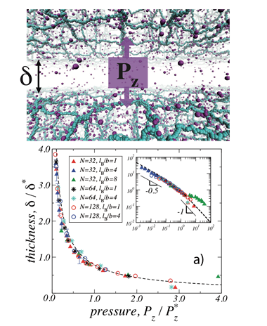 interactions-between-polyelectrolyte-gel-surfaces.png