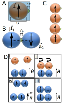 self-replication-with-dipolar-colloids.png