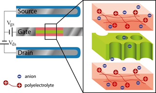 soft-amplifier-circuits-based-on-field-effect-ionic-transistors.png