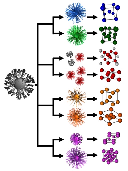 transmutable-nanoparticles-with-reconfigurable-surface-ligands.jpg