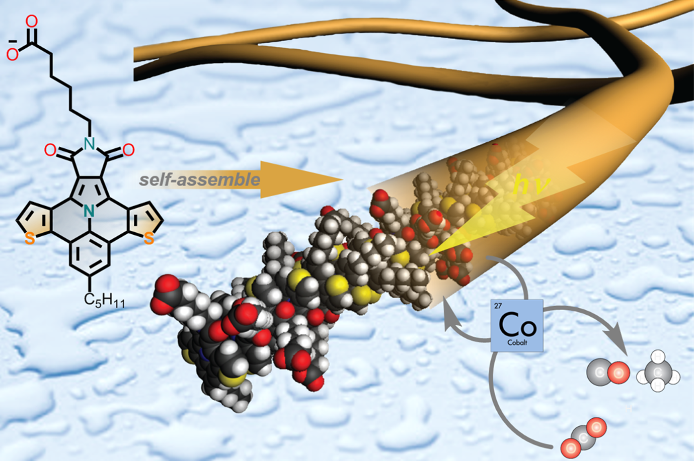 Diareno-ullazine molecules undergo self-assembly in water to form fibrous supramolecular polymers. Under visible light, these assemblies sensitize a cobalt molecular catalyst and convert CO2 to CO and CH4. 